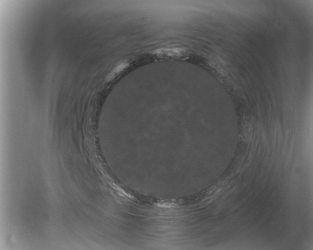 X0000081491297200701191848