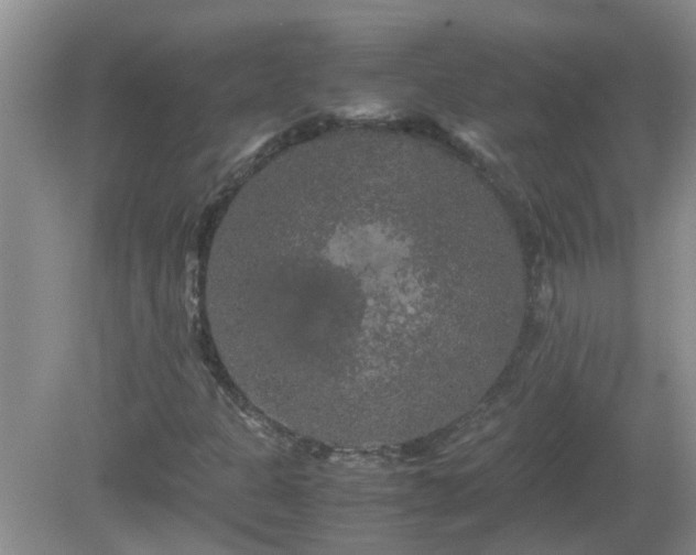 X0000081491301200701191848