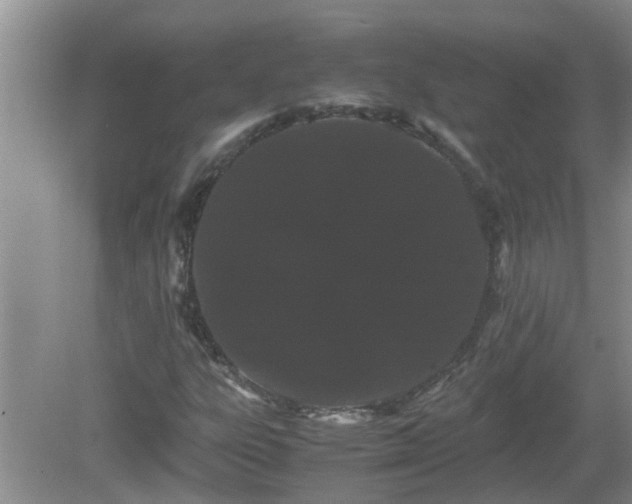 X0000081491303200701191848