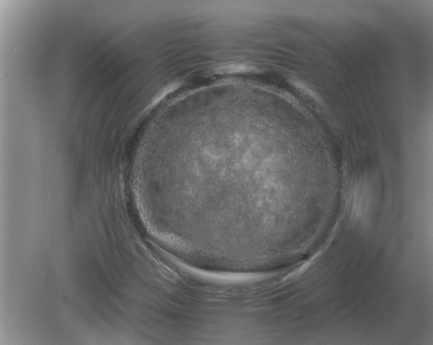 X0000081491305200701191848