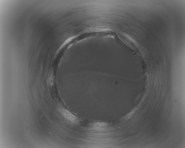 X0000081491306200701191848