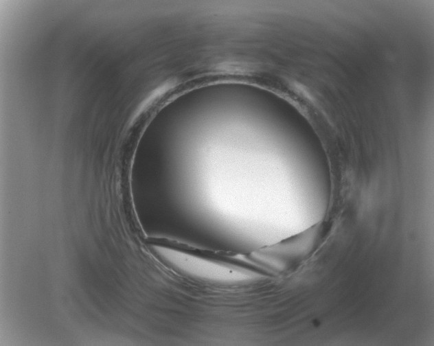 X0000081491307200701191848