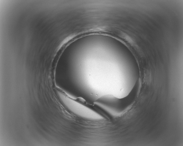 X0000081491308200701191848