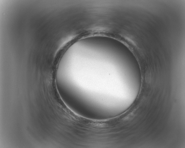 X0000081491309200701191848