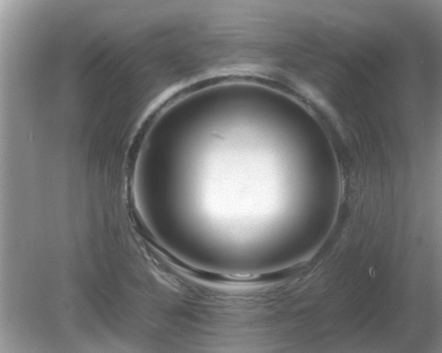 X0000081491316200701191848