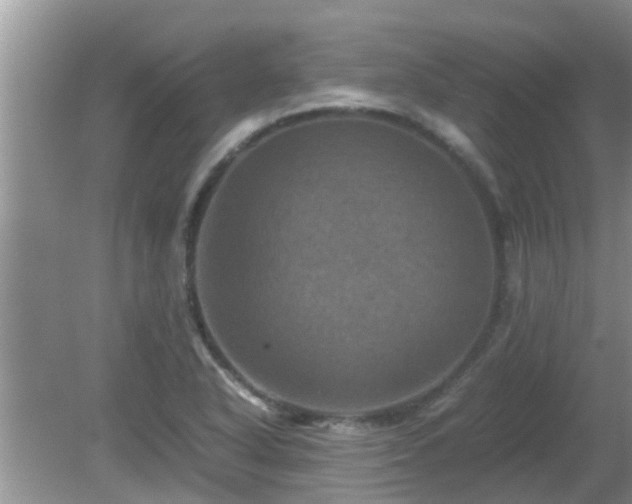 X0000081491318200701191848