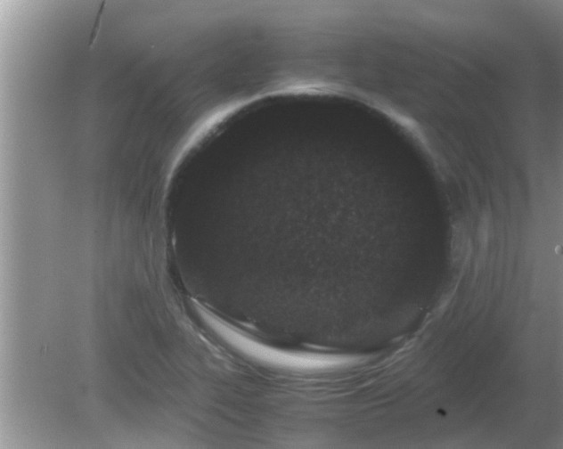 X0000081491319200701191848