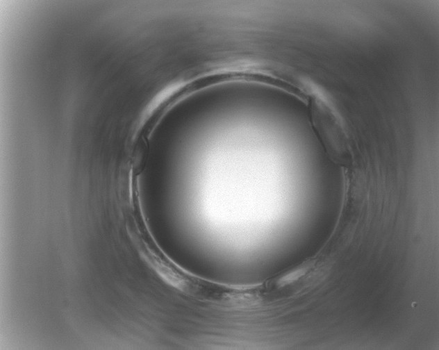 X0000081491320200701191848