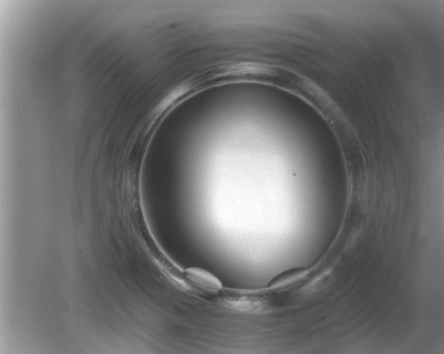 X0000081491321200701191848