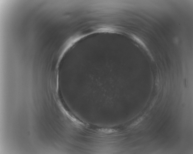 X0000081491323200701191848