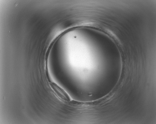 X0000081491324200701191848