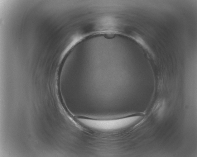 X0000081491325200701191848