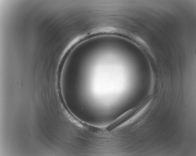 X0000081491326200701191848