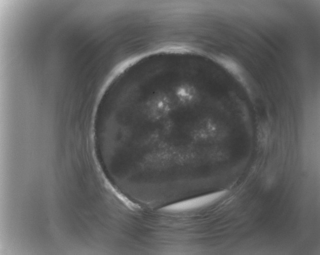 X0000081491327200701191848