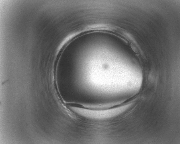 X0000081491328200701191848