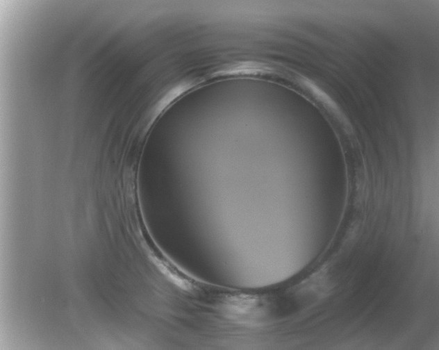 X0000081491329200701191848