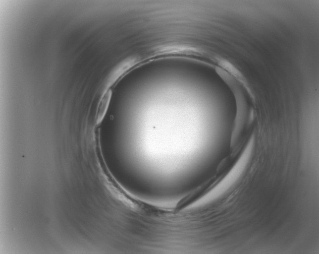 X0000081491330200701191848