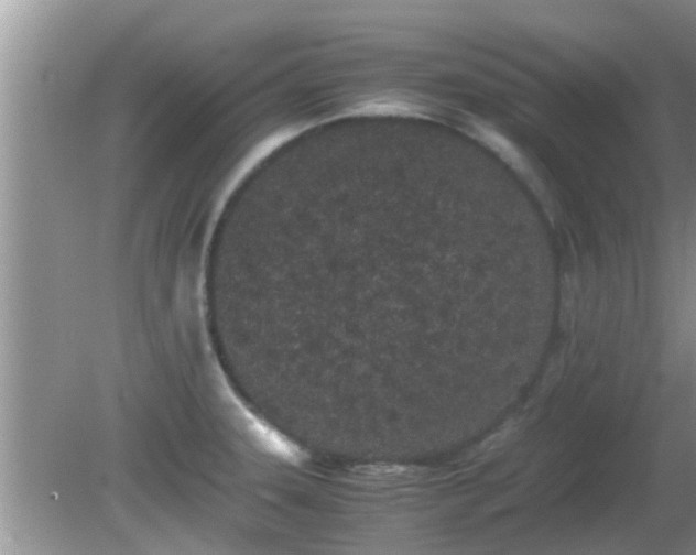 X0000081491331200701191848