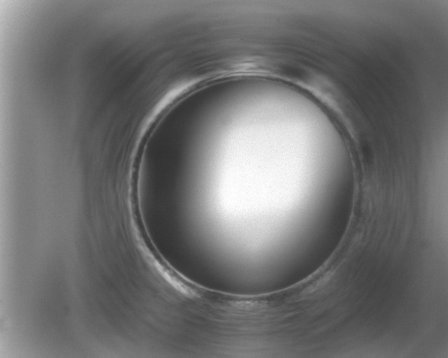 X0000081491333200701191848