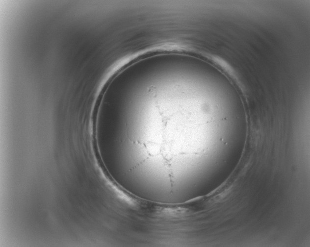 X0000081491335200701191848