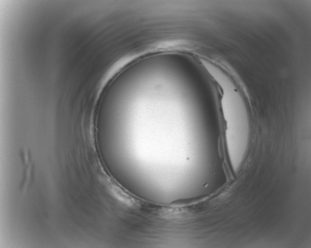 X0000081491336200701191848