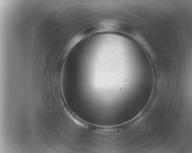 X0000081491337200701191848