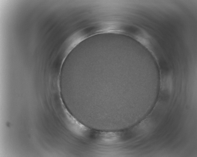 X0000081491338200701191848