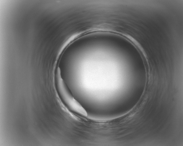 X0000081491341200701191848