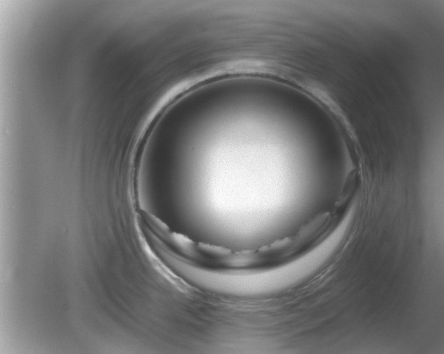 X0000081491342200701191848