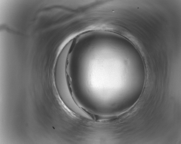 X0000081491344200701191848