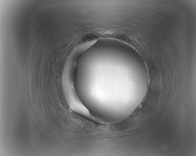 X0000081491345200701191848