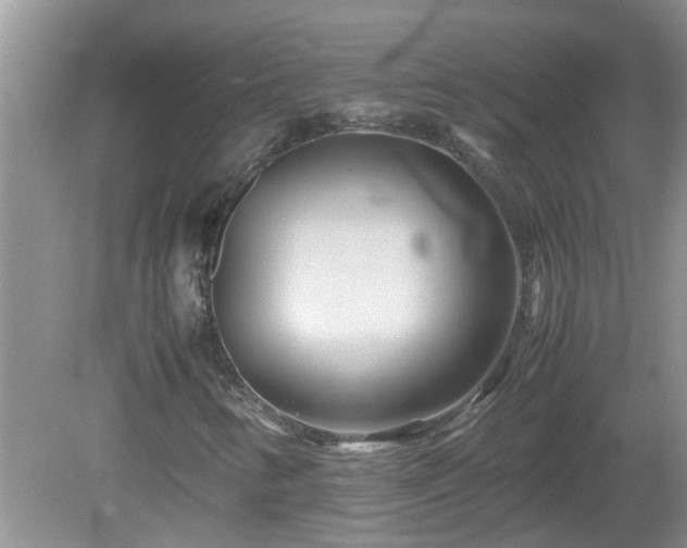 X0000081491346200701191848