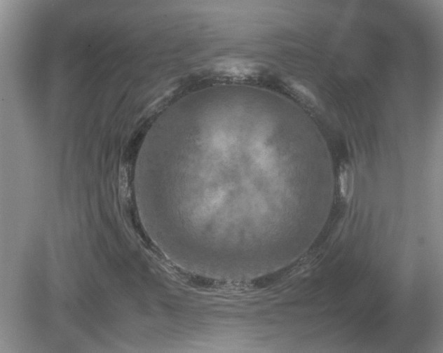 X0000081491347200701191848