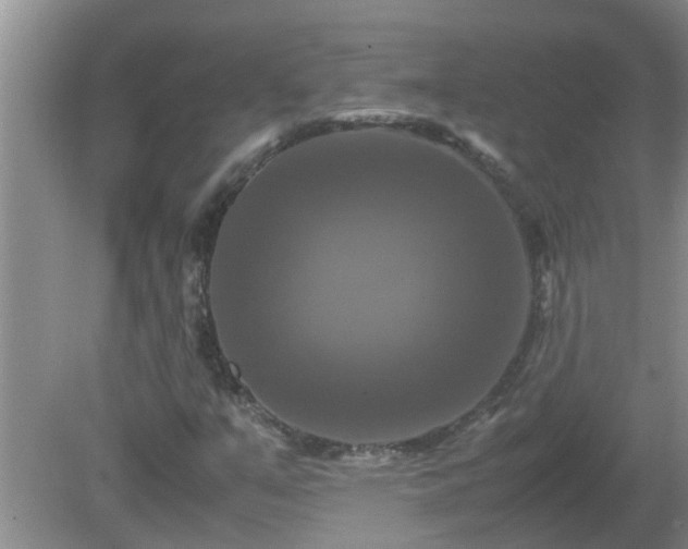 X0000081491351200701191847