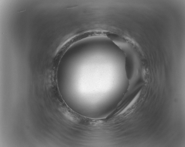 X0000081491352200701191847