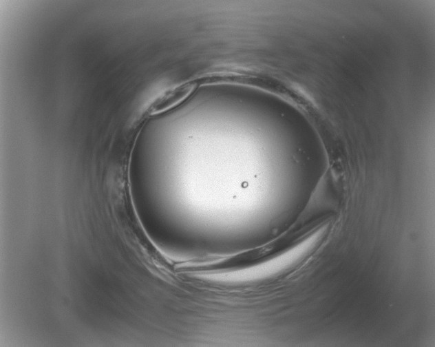 X0000081491355200701191847