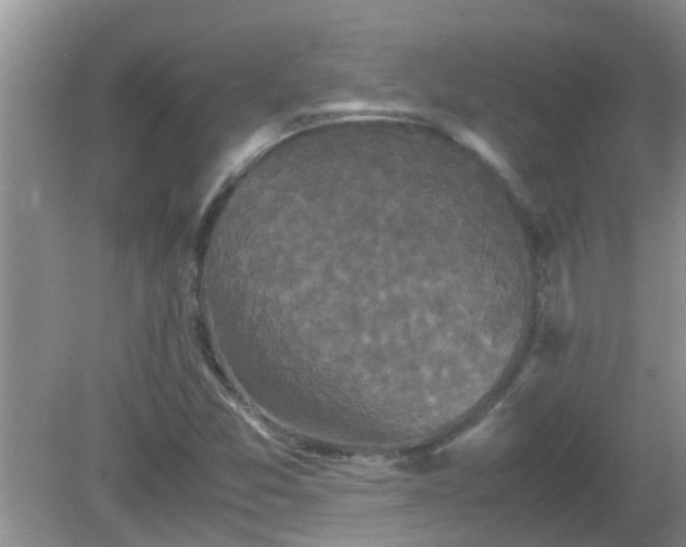 X0000081491357200701191847