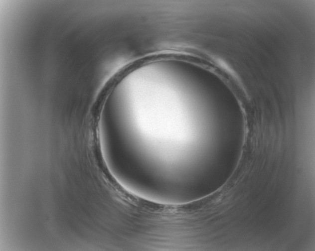 X0000081491360200701191847