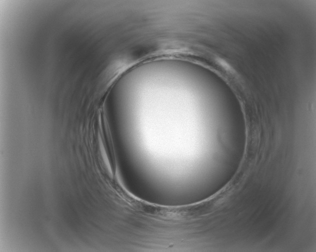 X0000081491361200701191847