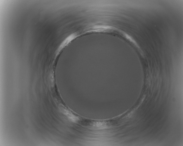 X0000081491362200701191847