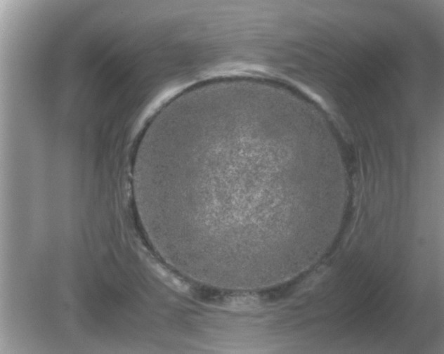 X0000081491363200701191847