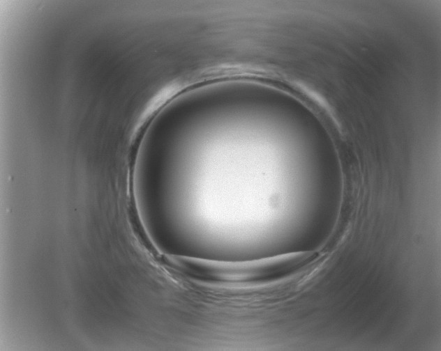 X0000081491365200701191847