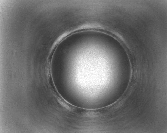 X0000081491366200701191847