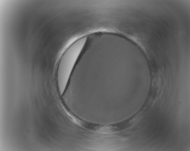 X0000081491367200701191847