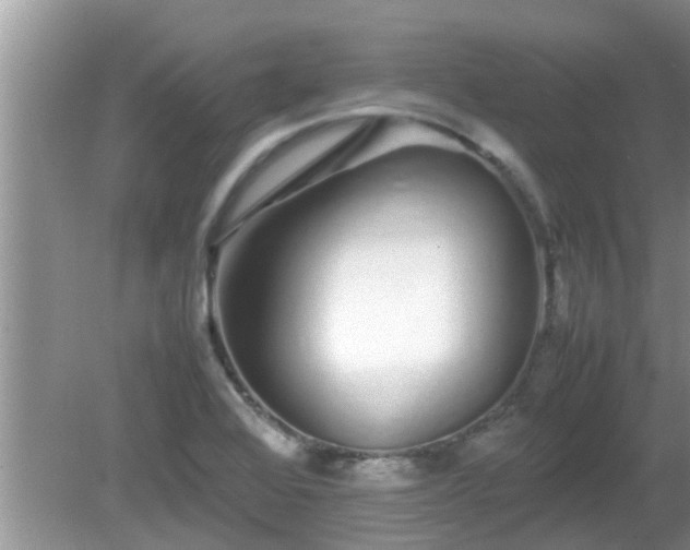 X0000081491368200701191847