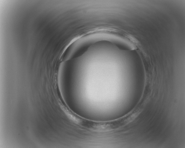 X0000081491369200701191847