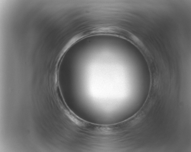 X0000081491370200701191847