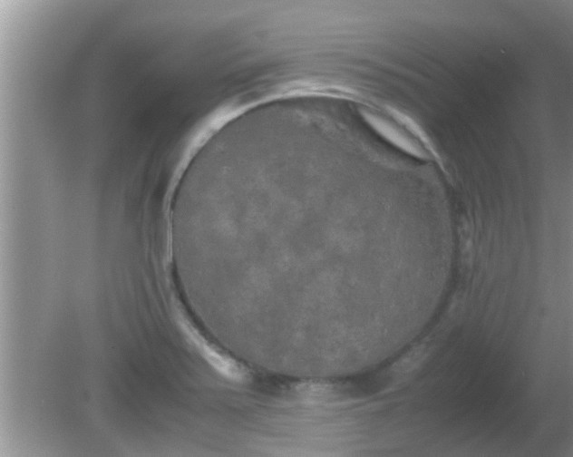 X0000081491371200701191847