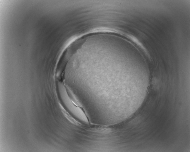 X0000081491372200701191847