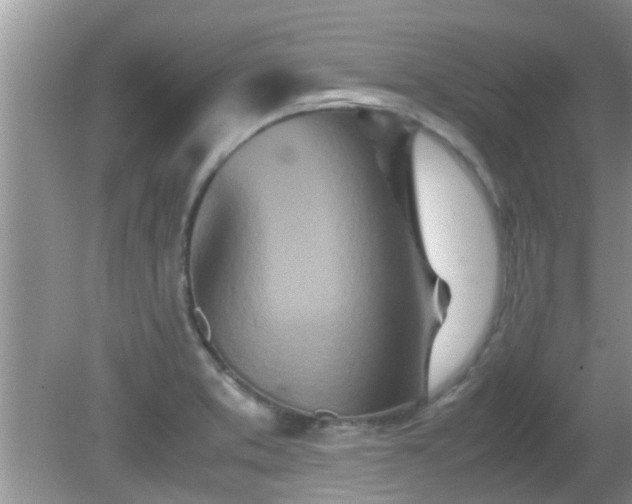 X0000081491373200701191847